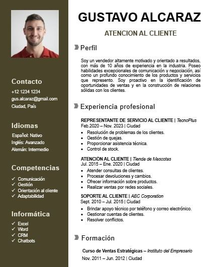 Plantilla De Curr culum Vitae De Empresario Para Rellenar En Word
